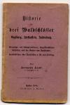 Hiedl, Historie der drei Waldschlösser Englburg, Fürstenstein, Saldenburg. Genea
