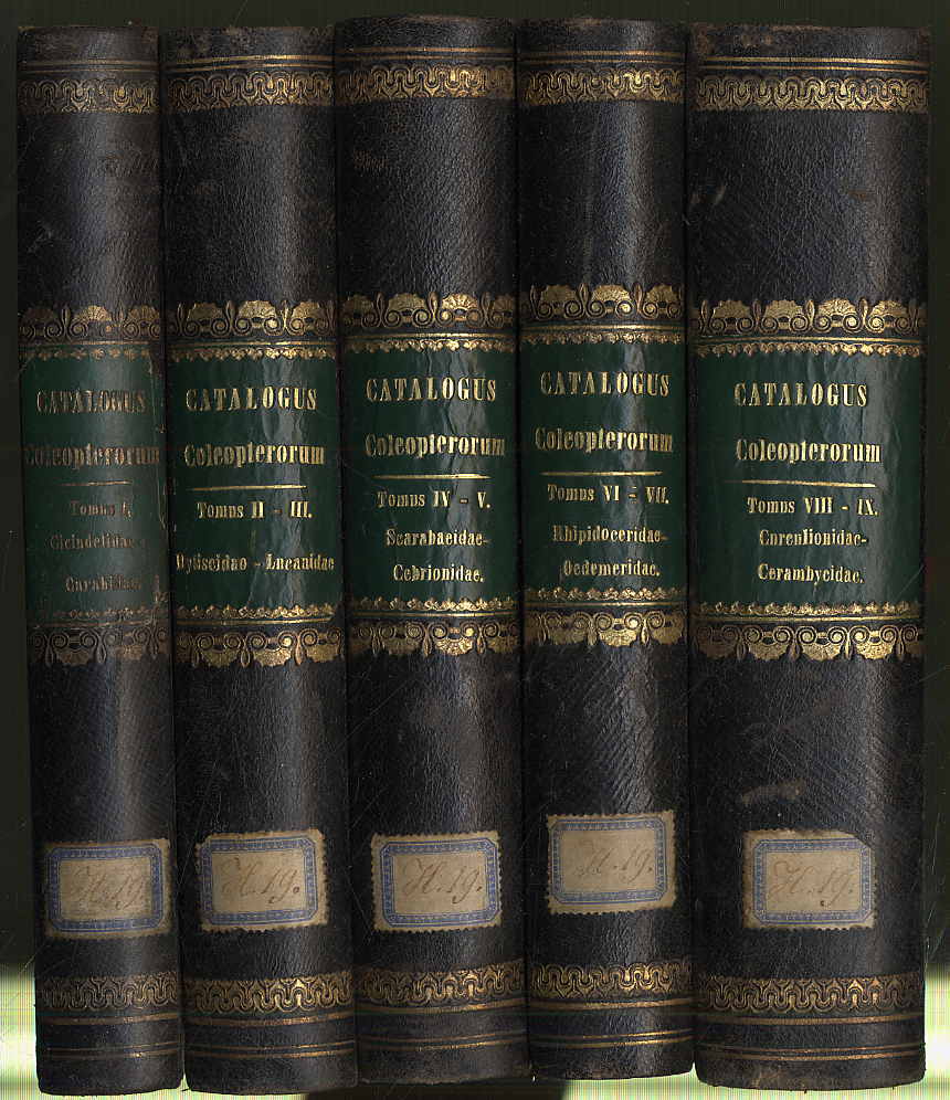Gemminger, Catalogus Coleopterorum hucusque descriptorum synonmicus et systemati