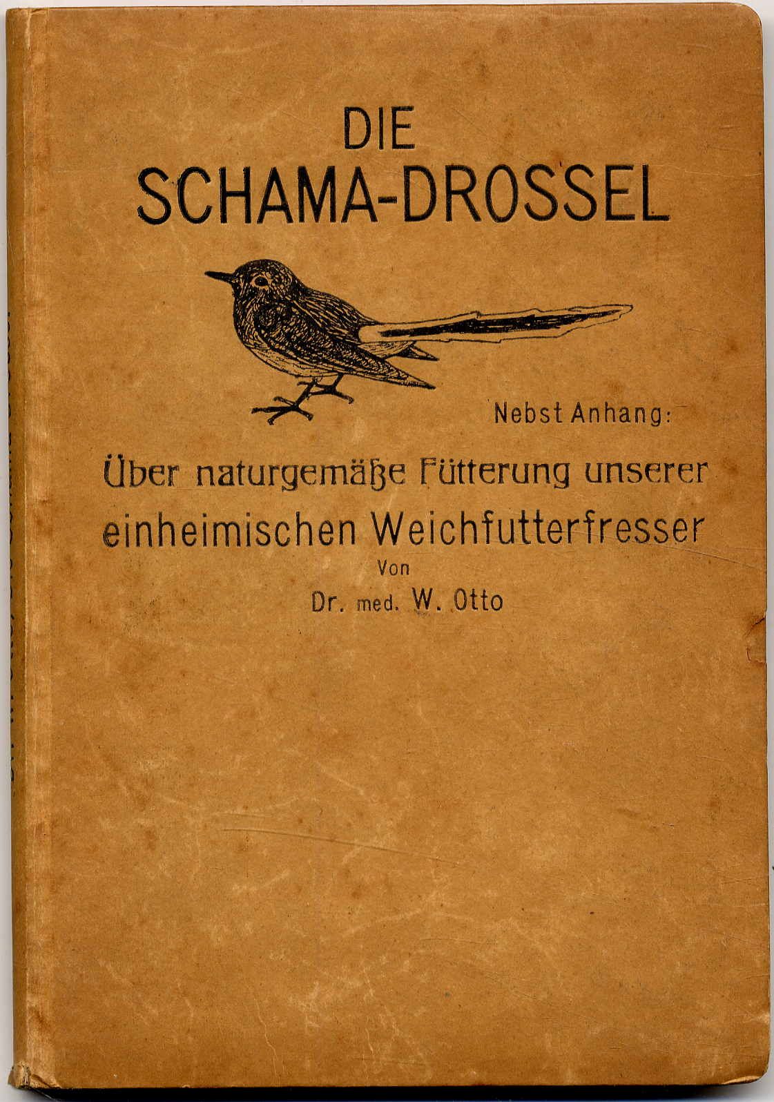 Otto, Die Schamadrossel.
